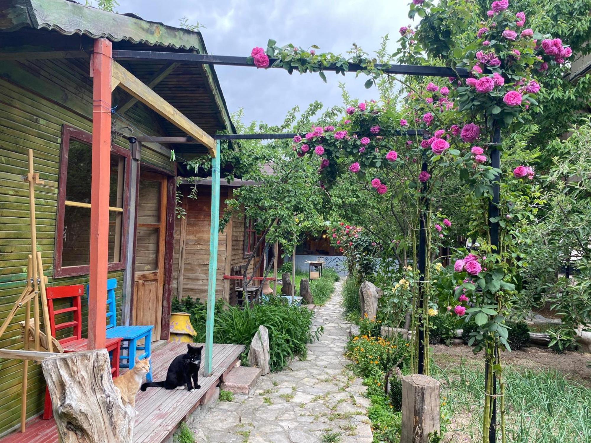 Philosophy Hotel Uchisar Δωμάτιο φωτογραφία