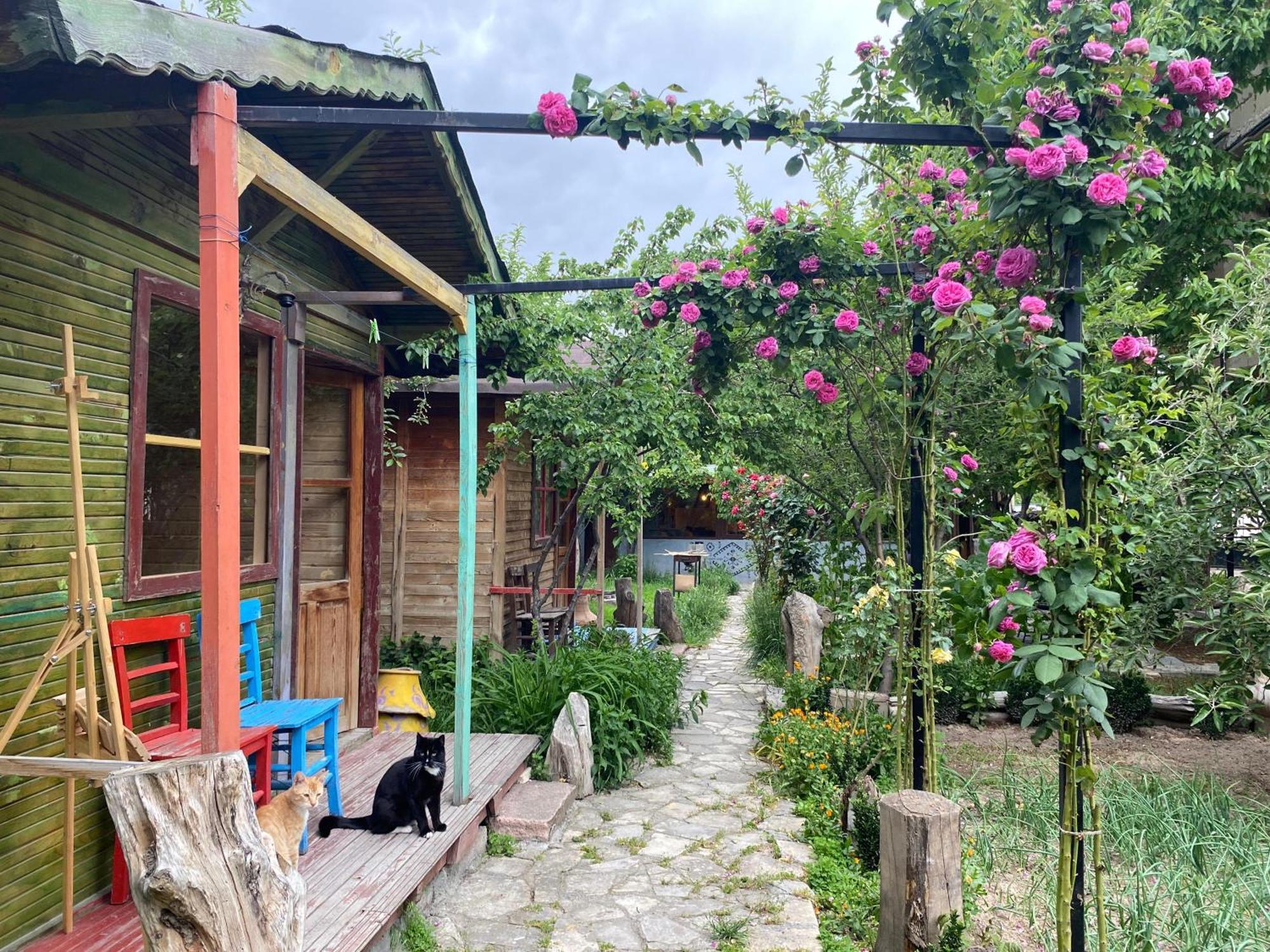 Philosophy Hotel Uchisar Εξωτερικό φωτογραφία